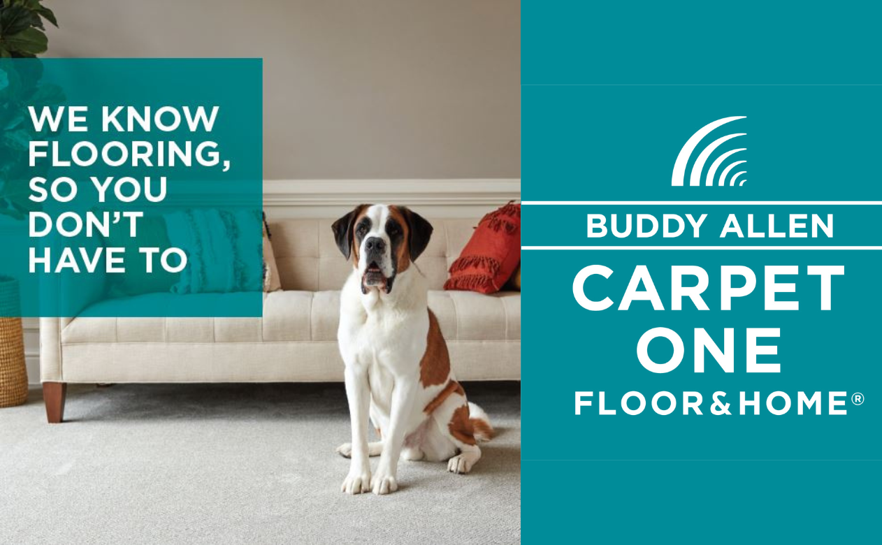 We Know Flooring dog on carpet living room 